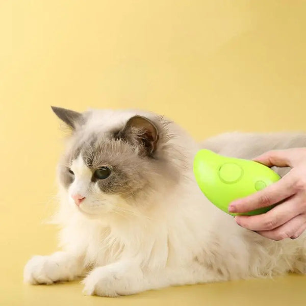 PET STEAM MASSAGE BRUSH / COMB