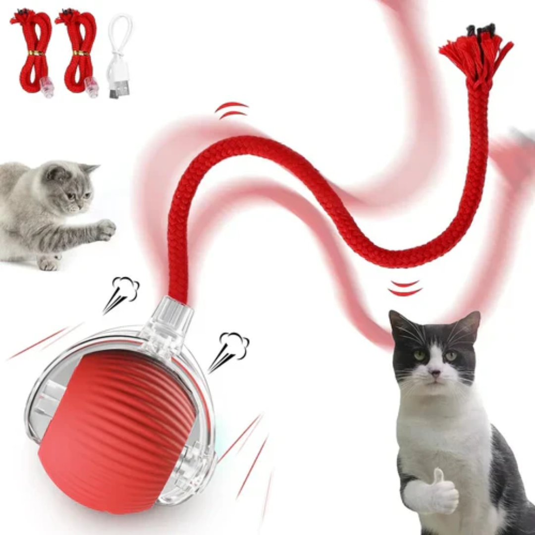 Smart Interactive Pet Toy Ball