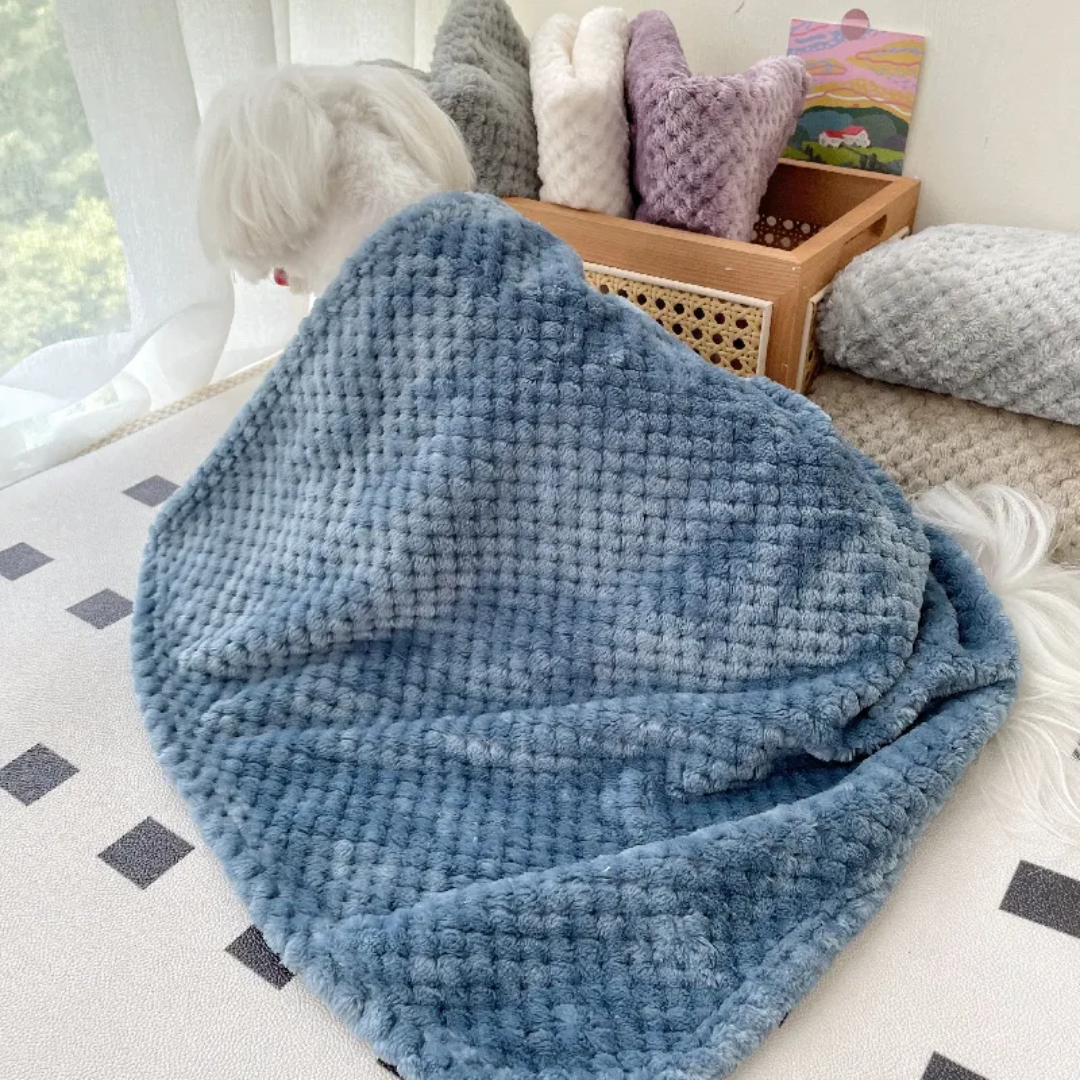 Custom Cozy Pet Blanket