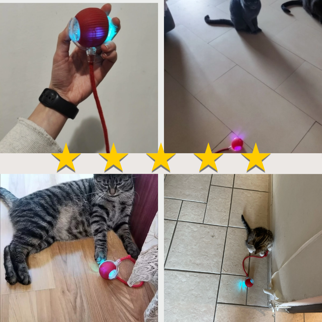 Smart Interactive Pet Toy Ball