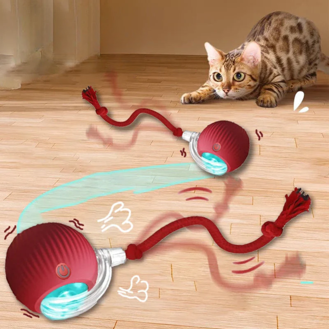 Smart Interactive Pet Toy Ball