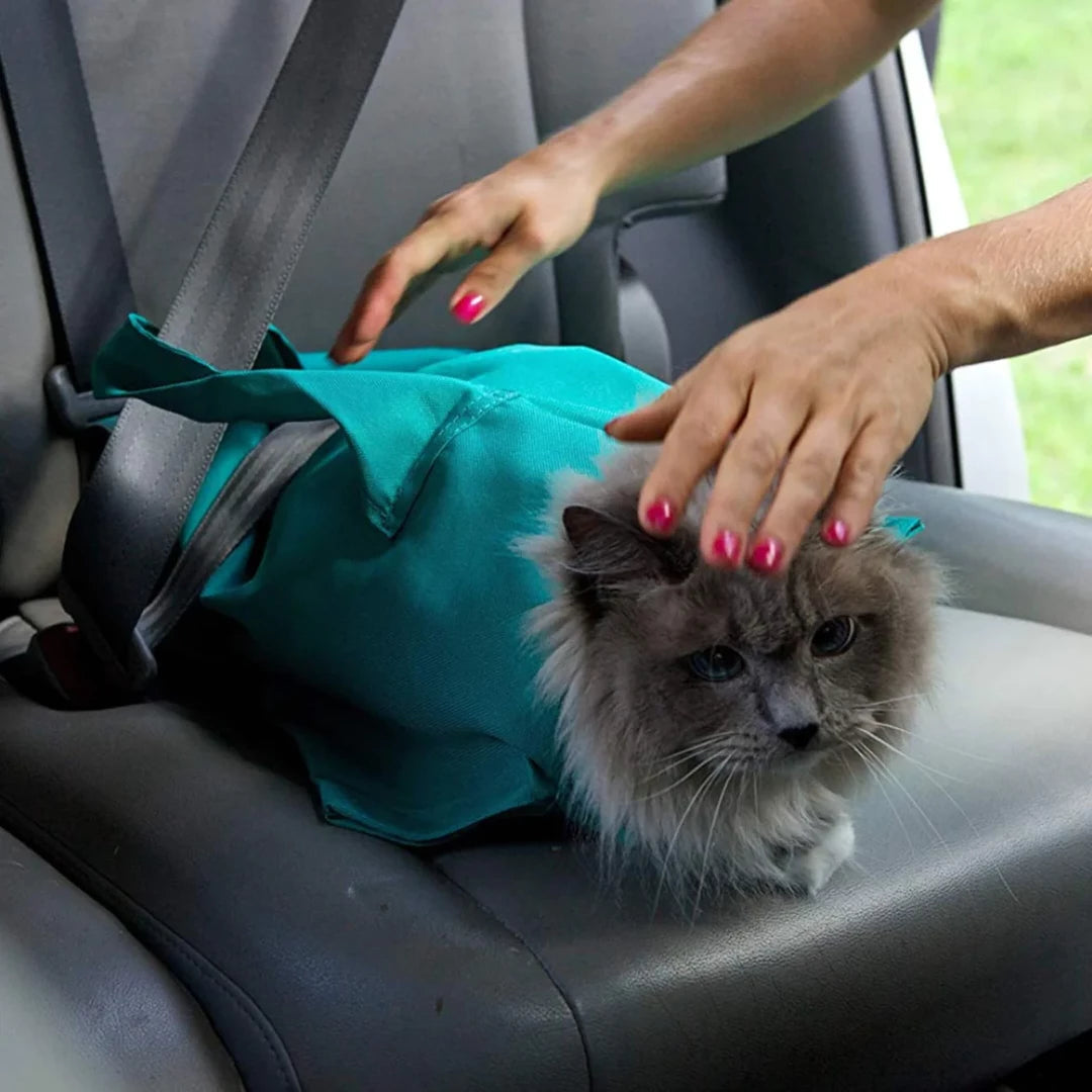 Buy One Get One Free - Cat Travel Pouch