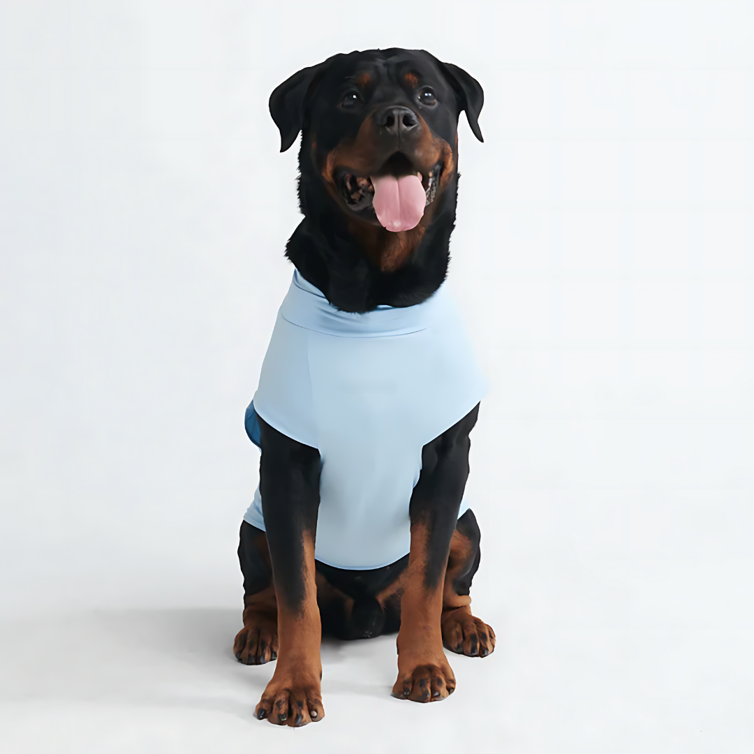 T-Shirt for dogs - Keeps your dog clean and allergen-free