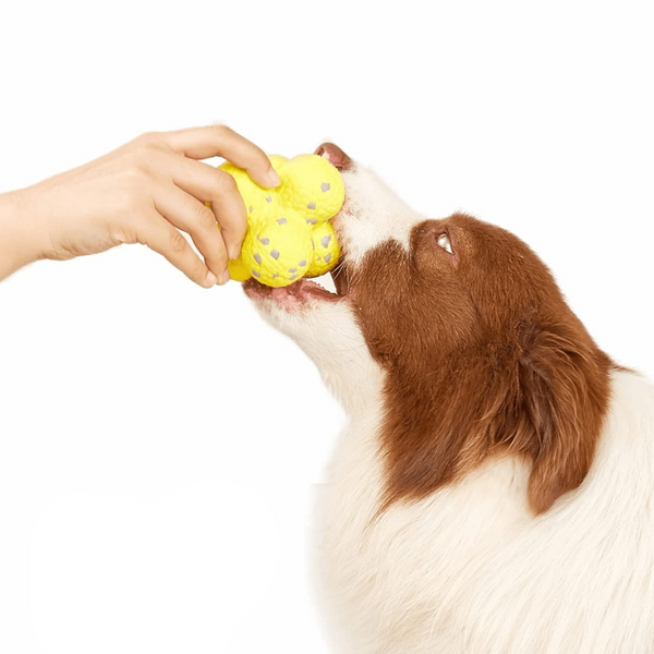 Calming Ball for Dogs - Relieves boredom and excess energy