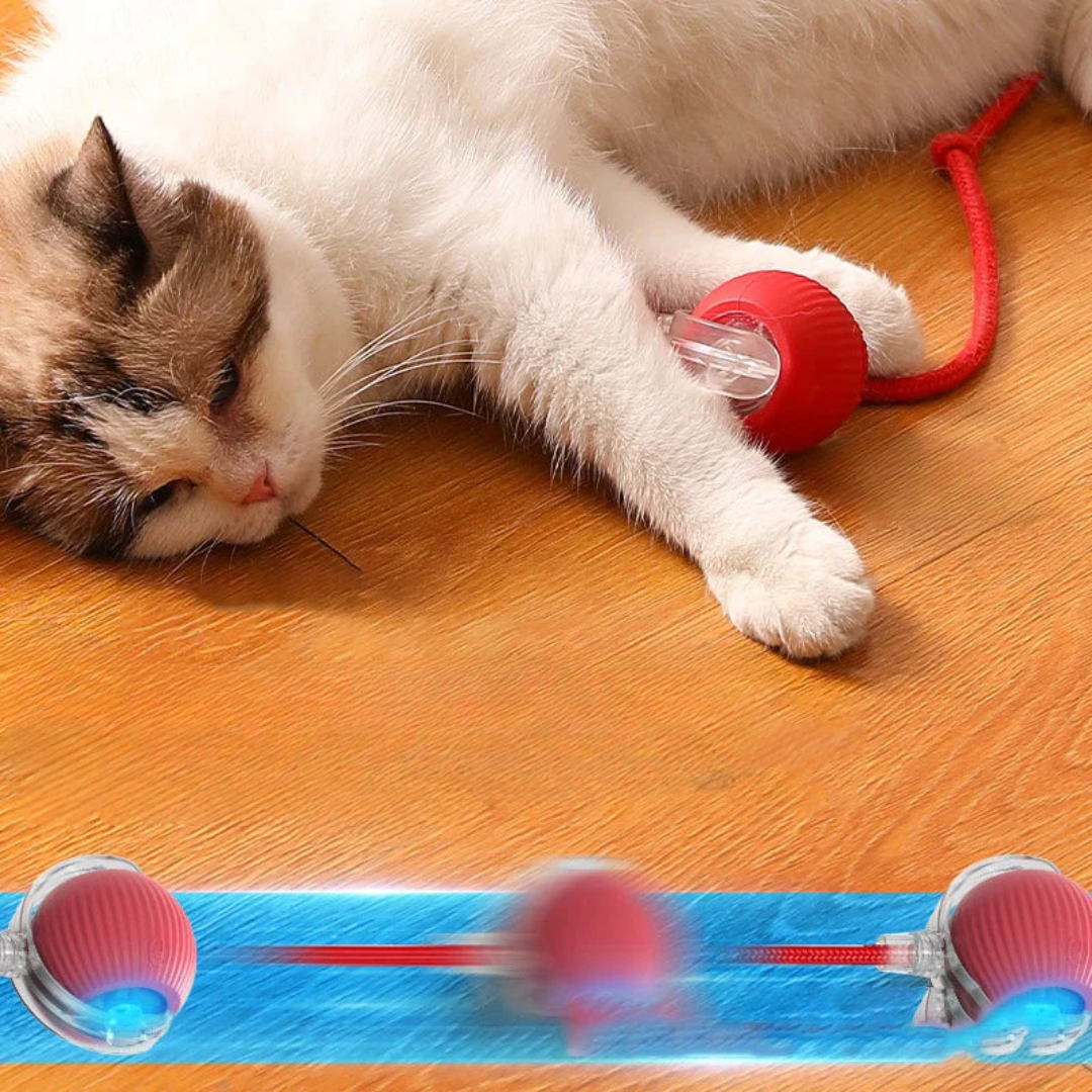 Smart Interactive Pet Toy Ball