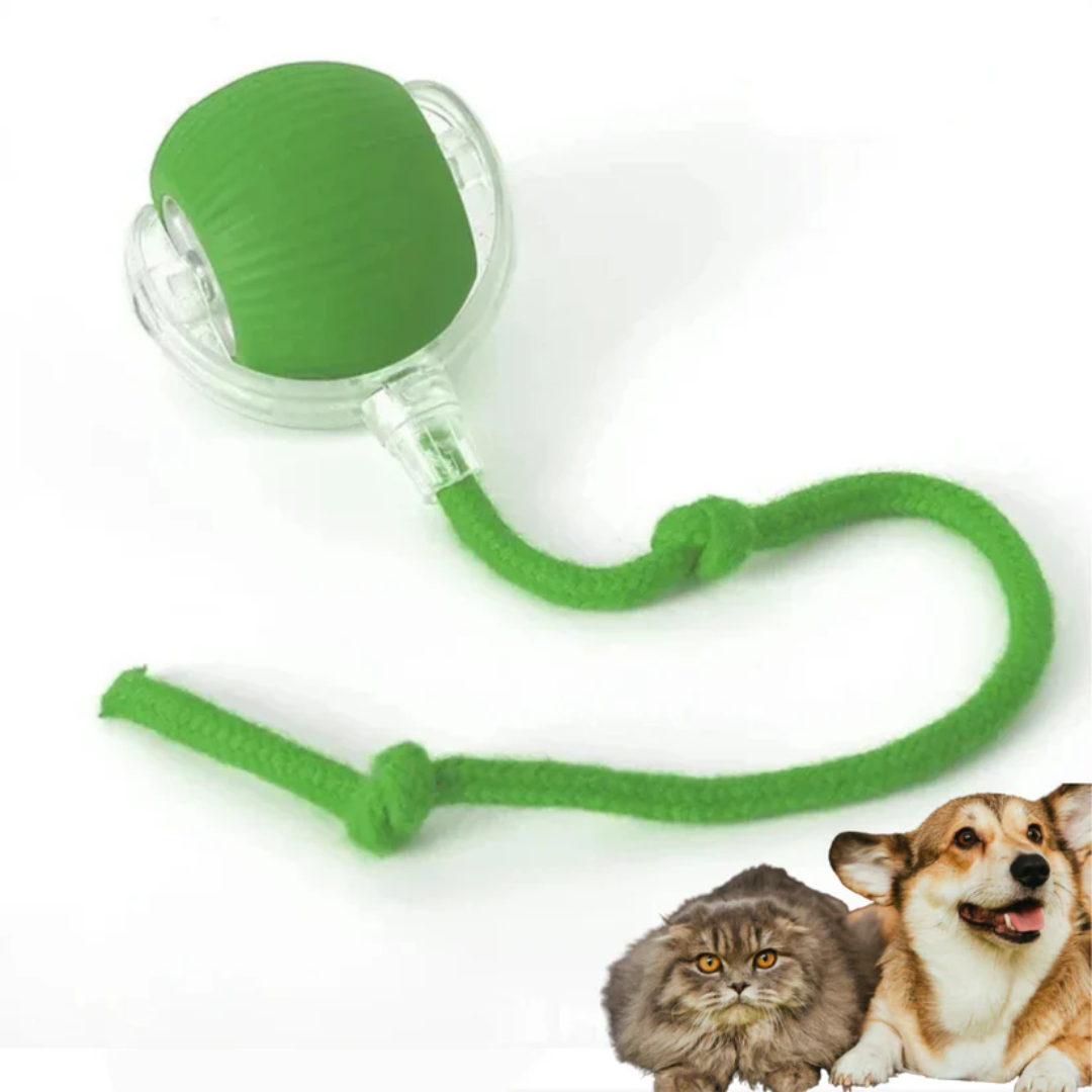 Smart Interactive Pet Toy Ball