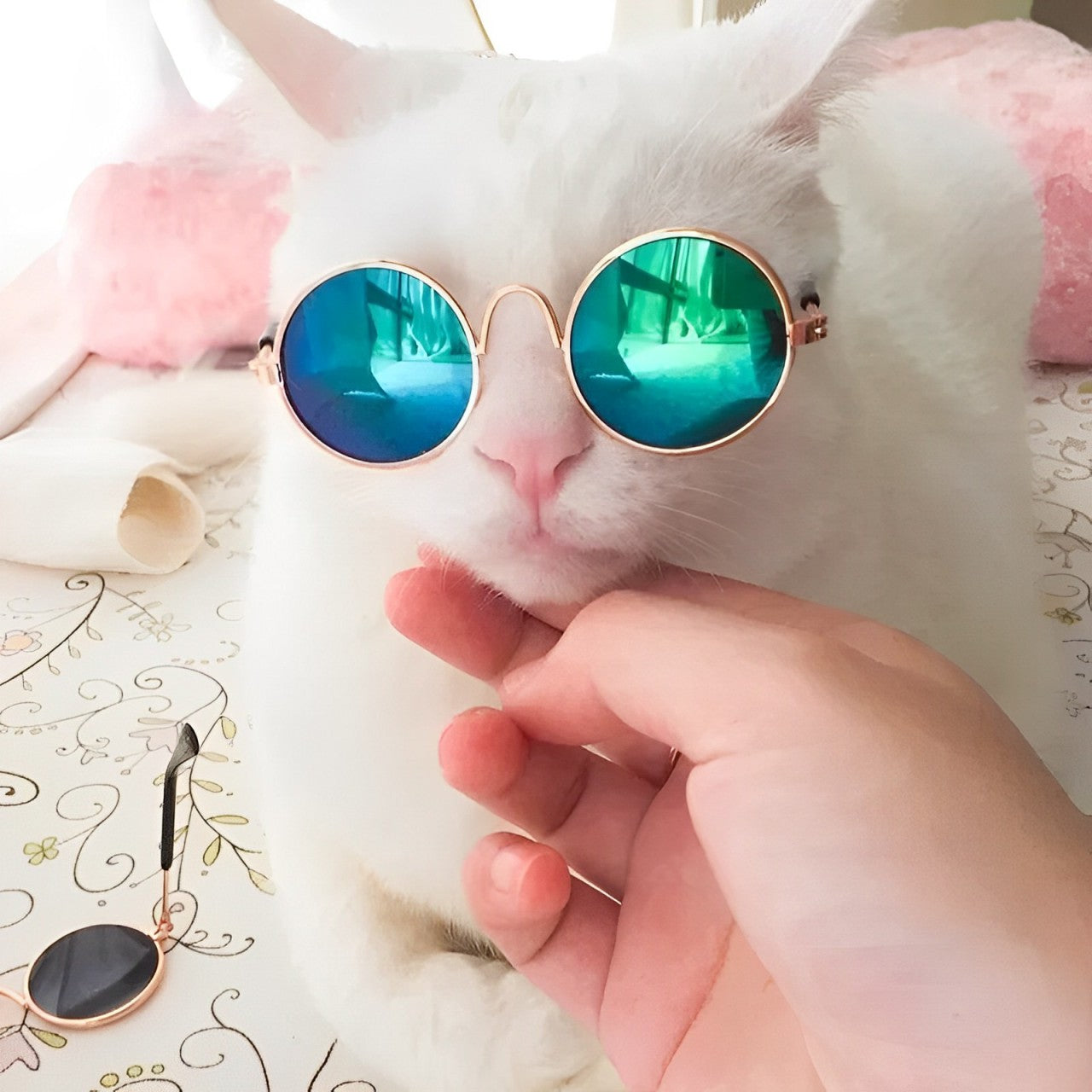 Vintage Round Cat Sunglasses