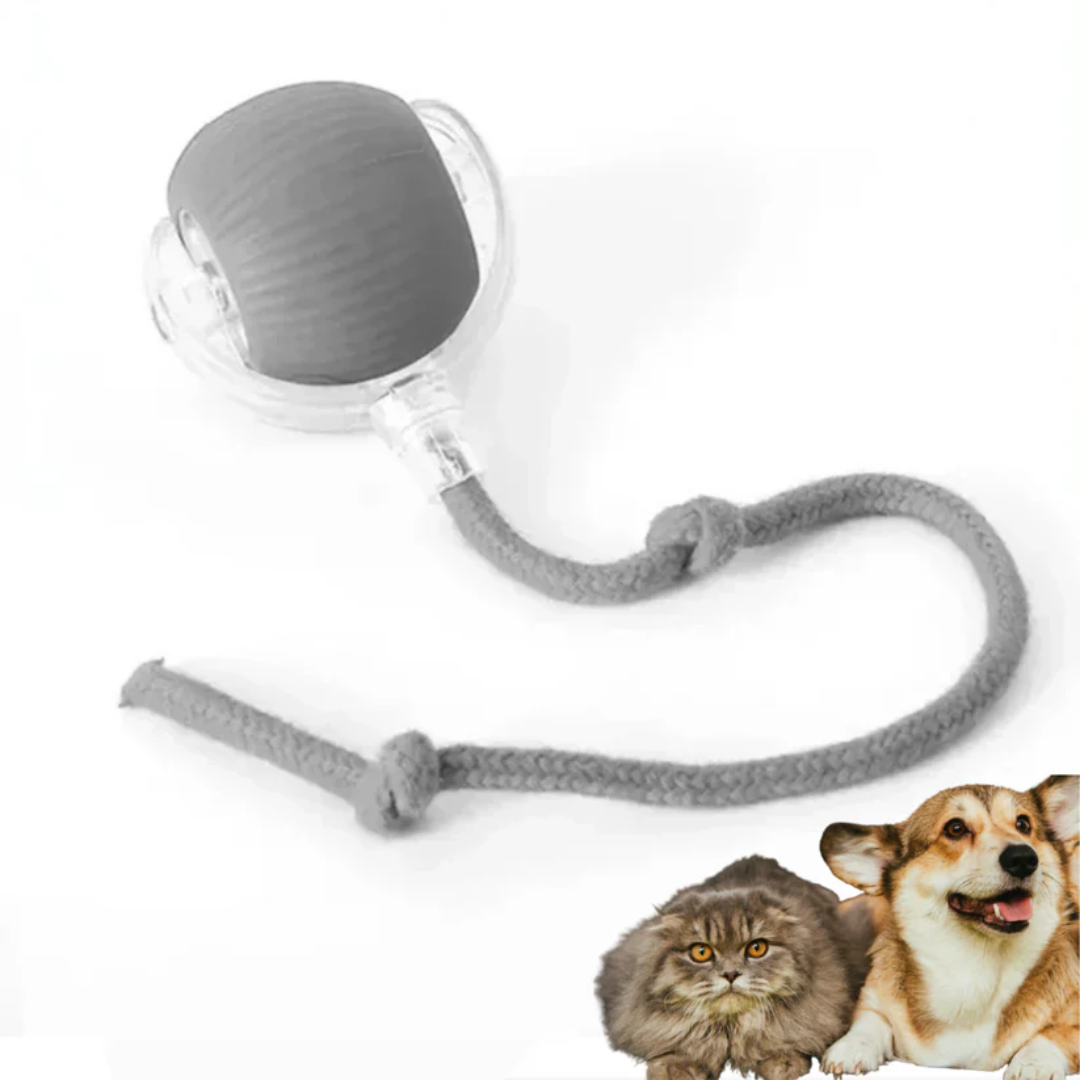 Smart Interactive Pet Toy Ball