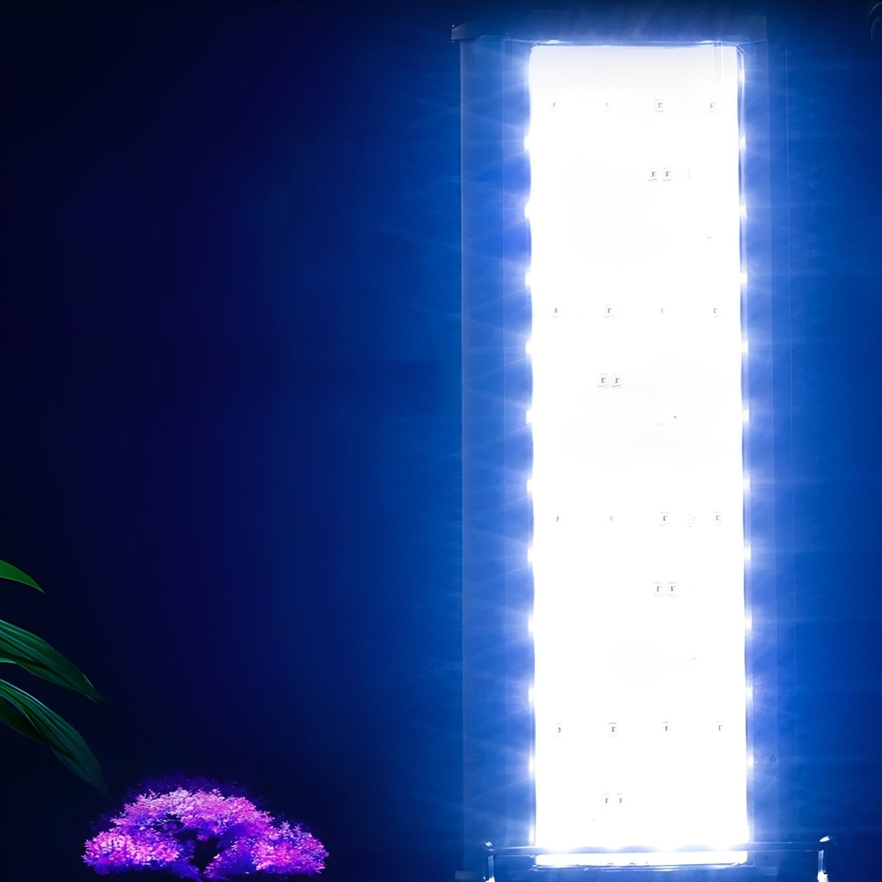 AQUARIUM LED LIGHTING