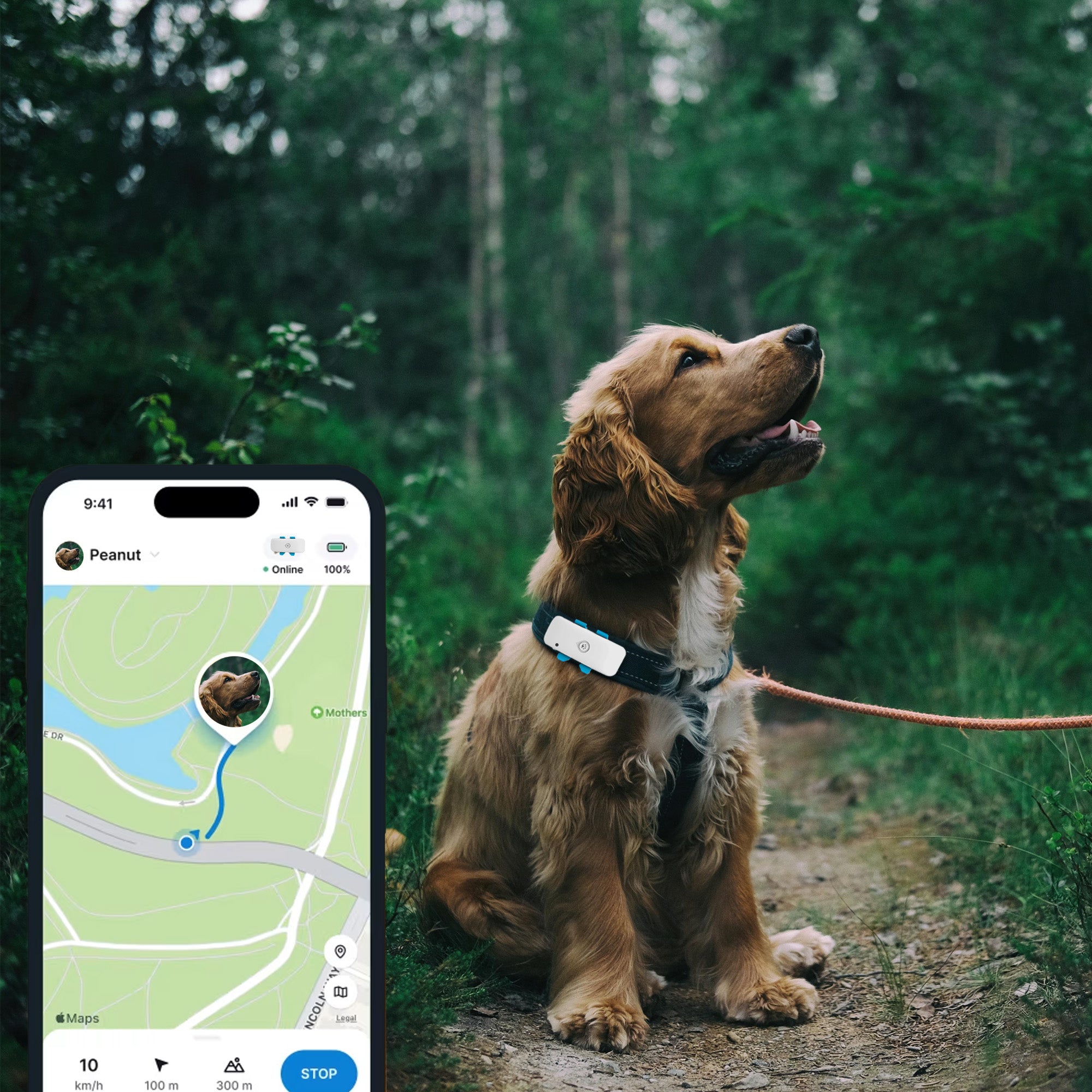 Pet GPS & Wellness Tracker