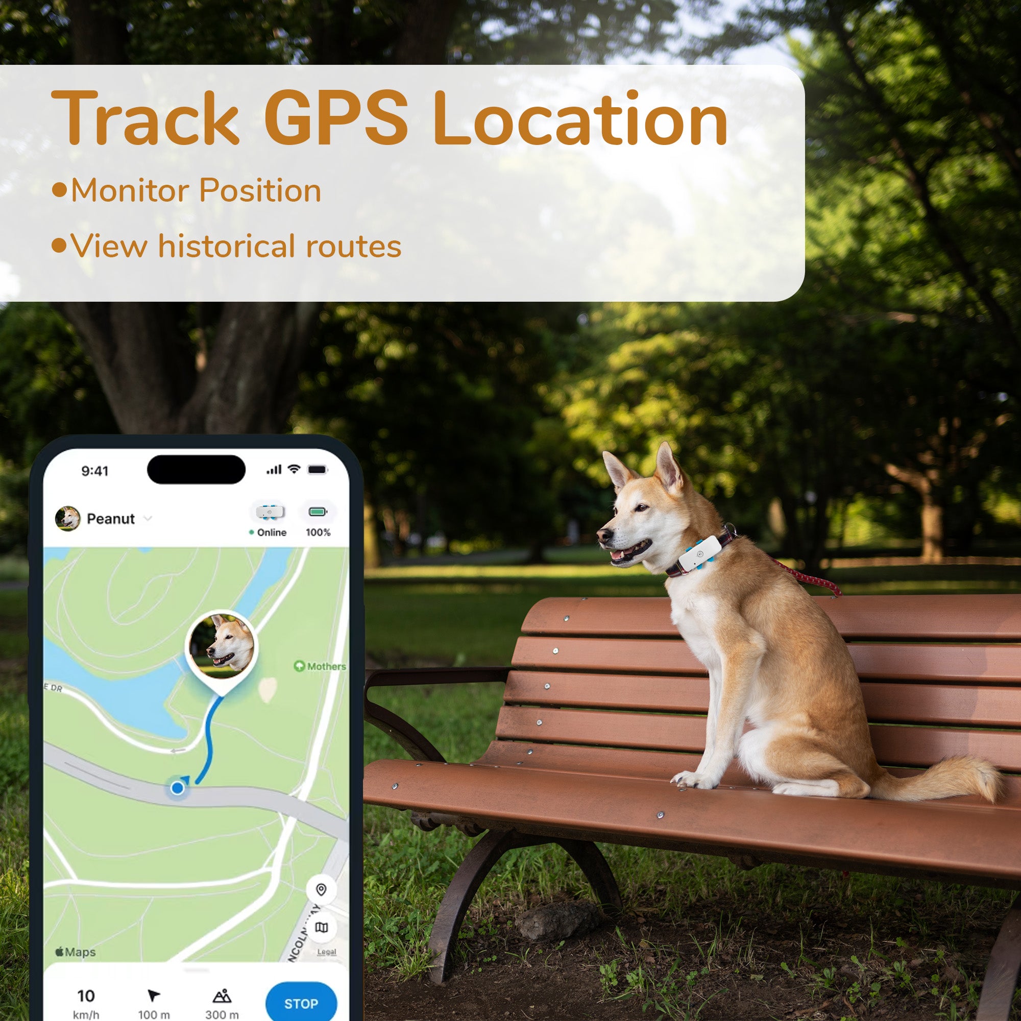 Pet GPS & Wellness Tracker