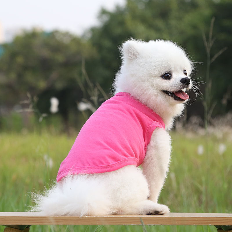 T-Shirt for dogs - Keeps your dog clean and allergen-free