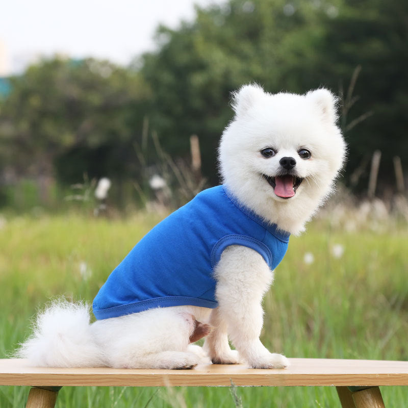 T-Shirt for dogs - Keeps your dog clean and allergen-free