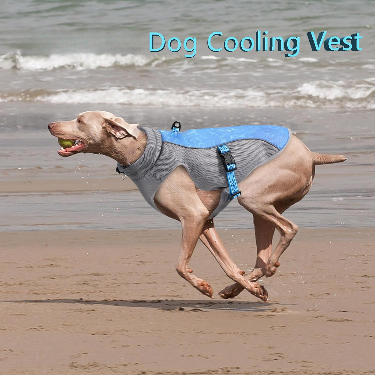 Pet Dog Summer Cooling Vest - Reflective Cooling and Breathable