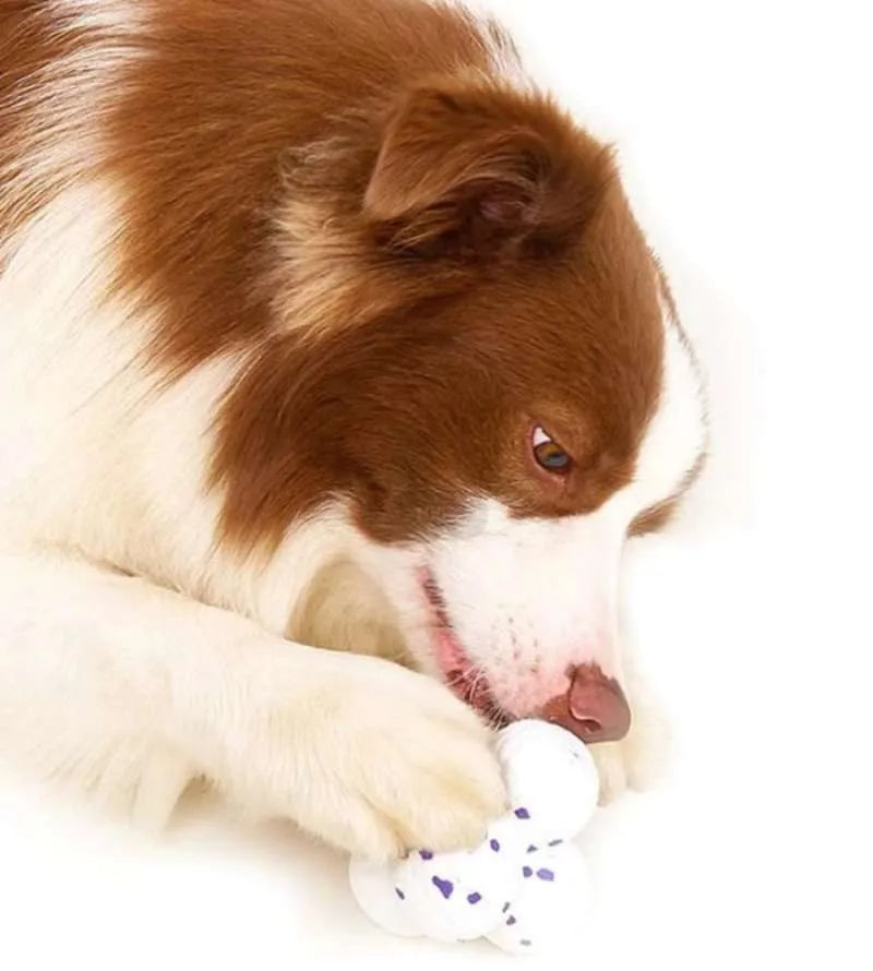 Calming Ball for Dogs - Relieves boredom and excess energy