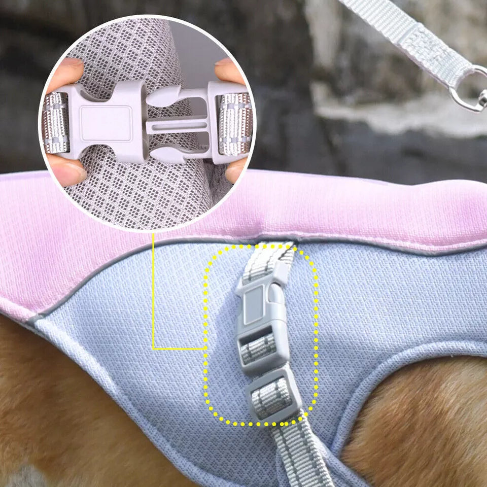 Pet Dog Summer Cooling Vest - Reflective Cooling and Breathable