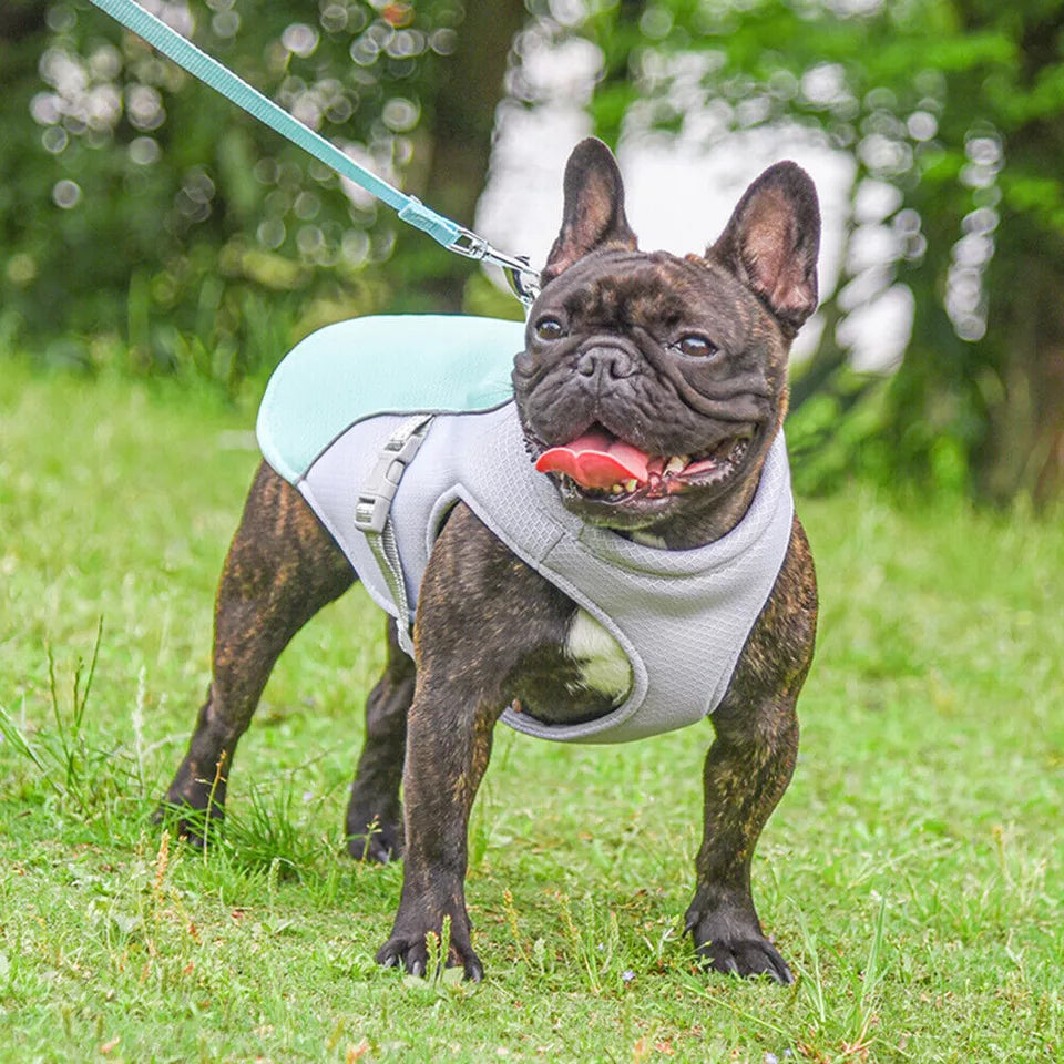 Pet Dog Summer Cooling Vest - Reflective Cooling and Breathable