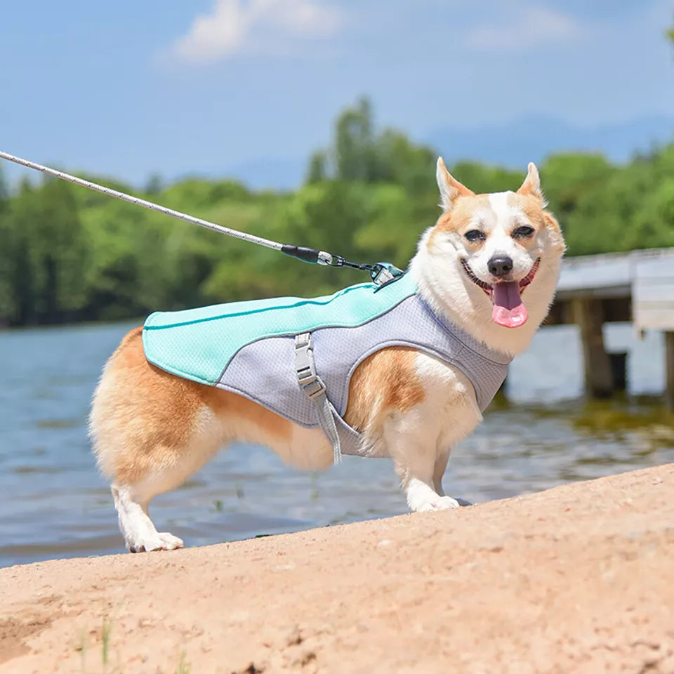 Pet Dog Summer Cooling Vest - Reflective Cooling and Breathable