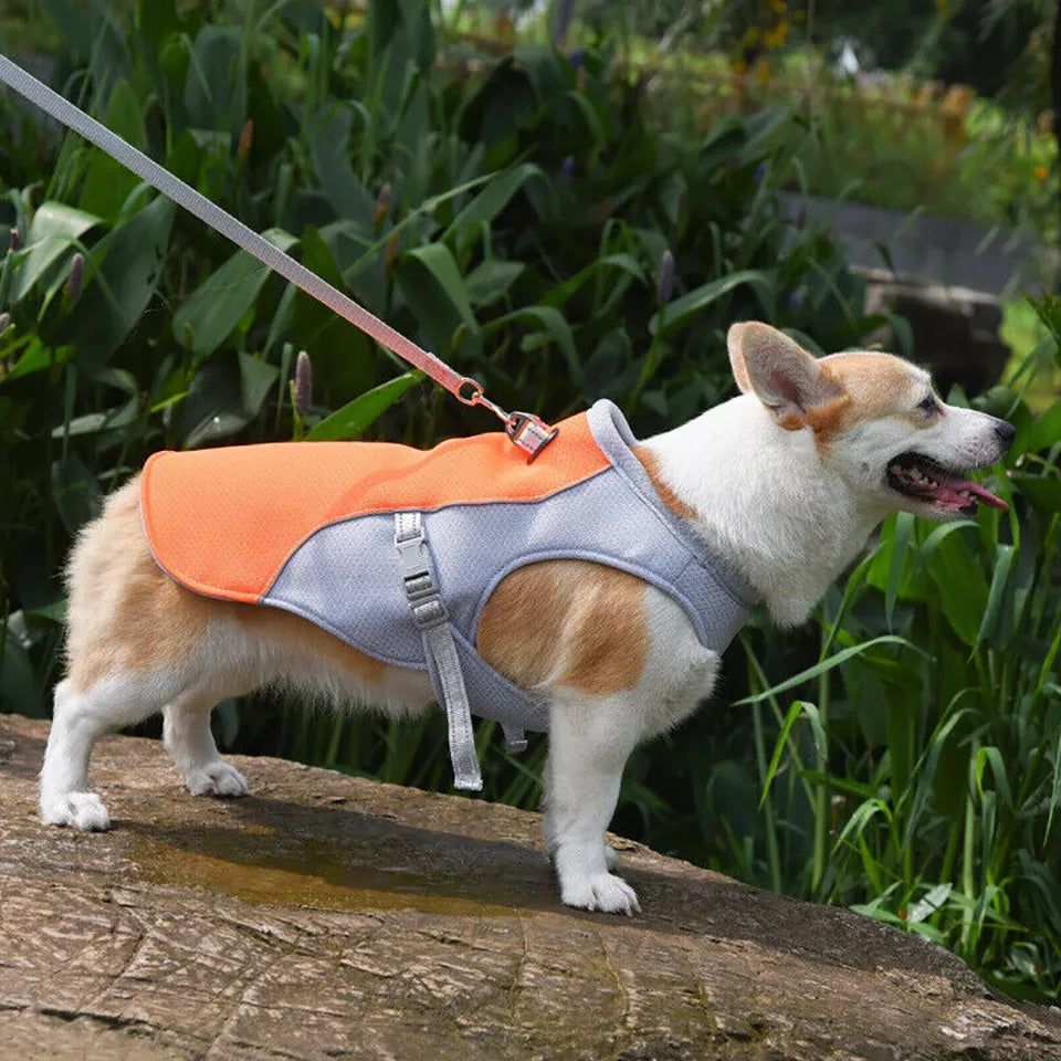 Pet Dog Summer Cooling Vest - Reflective Cooling and Breathable