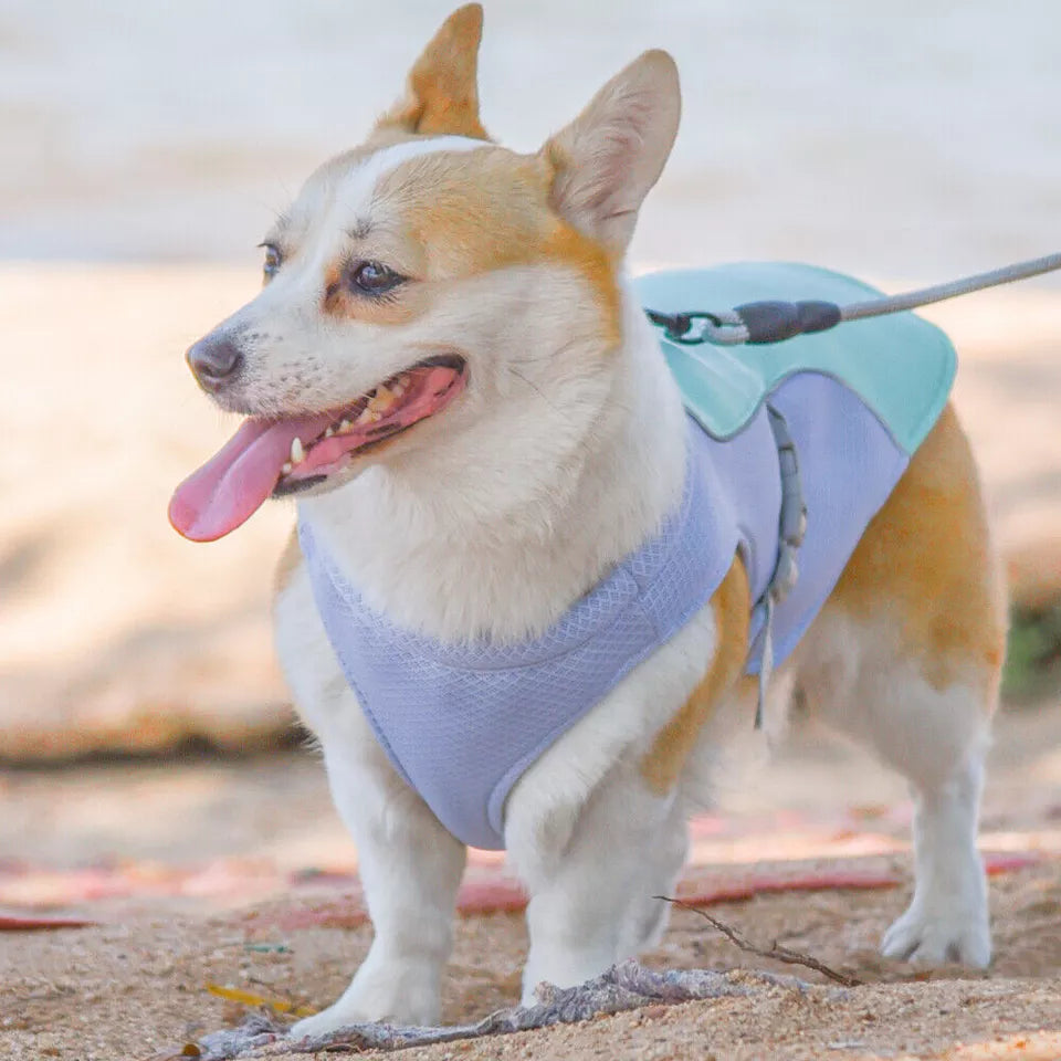 Pet Dog Summer Cooling Vest - Reflective Cooling and Breathable