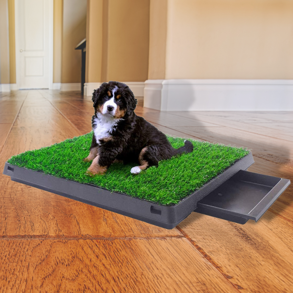 Pet shop grass mat